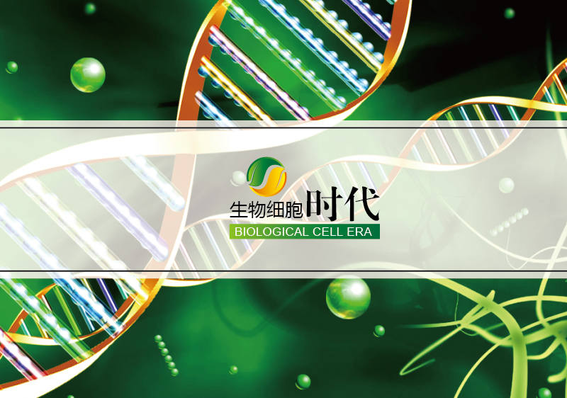 醫療投資樣本設計-醫院管理宣傳冊設計-醫院托管經營畫冊設計-上海奧韻廣告專業品牌策略機構